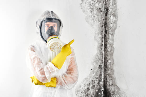 Best Emergency Mold Remediation  in Conneaut, OH