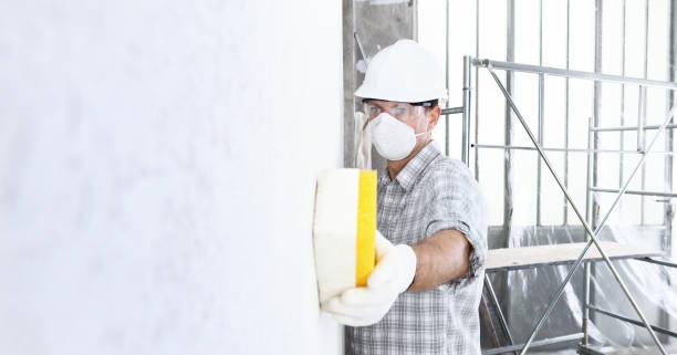 Best Mold Odor Removal Services  in Conneaut, OH