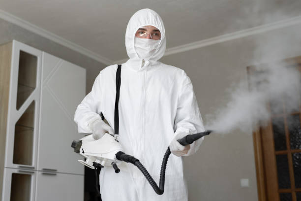 Best Commercial Mold Inspection  in Conneaut, OH